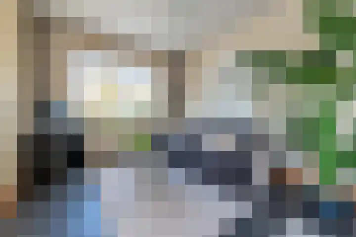 Voordijk 4 Schelluinen thumbnail 7