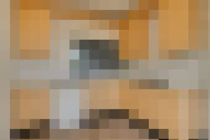 Voordorp 1 Leiderdorp thumbnail 13