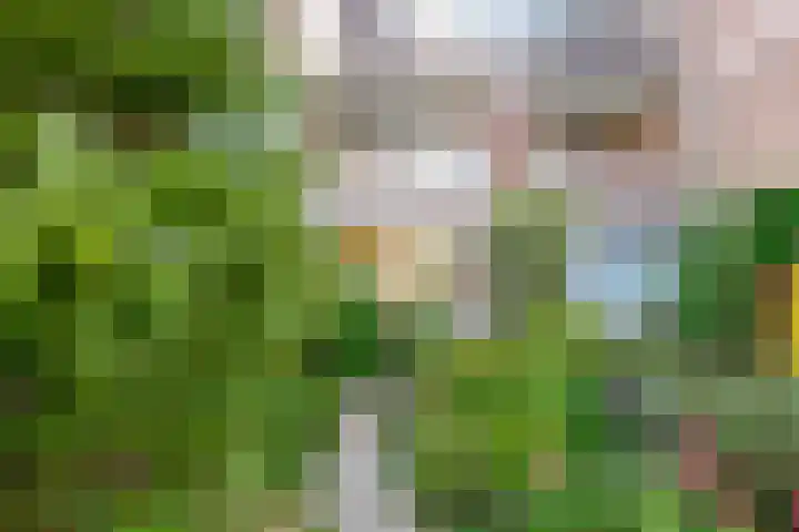 Voordorp 1 Leiderdorp thumbnail 19