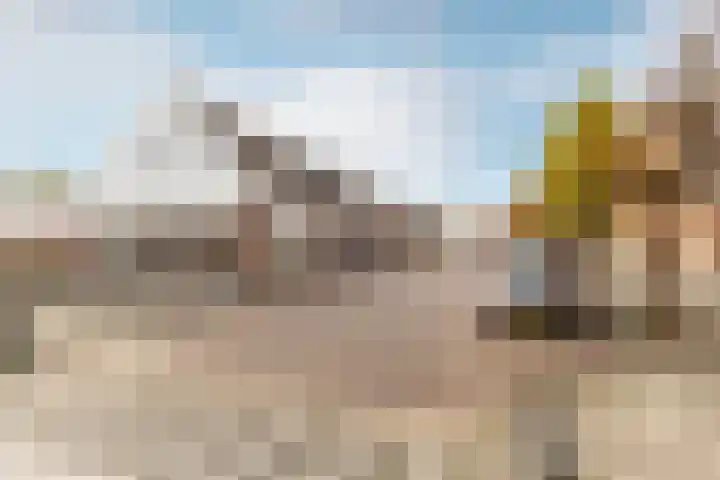 Vooreinde 5 Waalwijk thumbnail 40