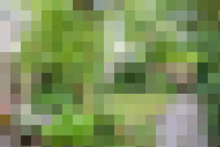 Voorhaven 134 Rotterdam thumbnail 15