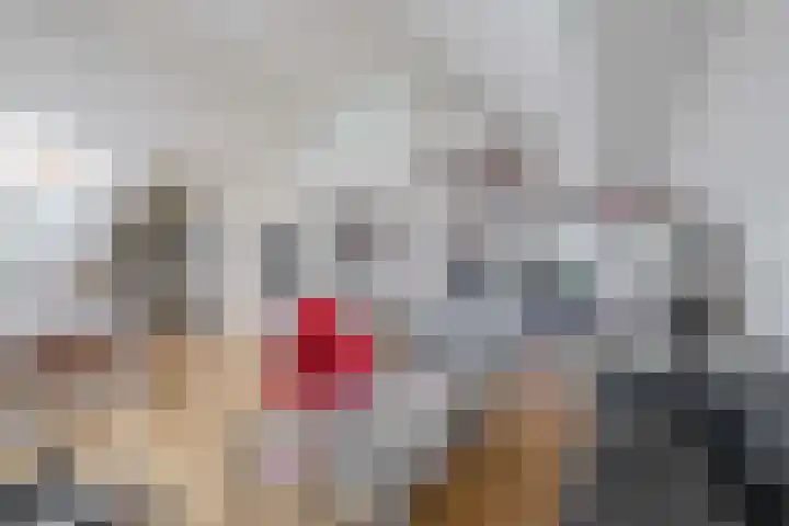 Voorhaven 24 Rotterdam thumbnail 18