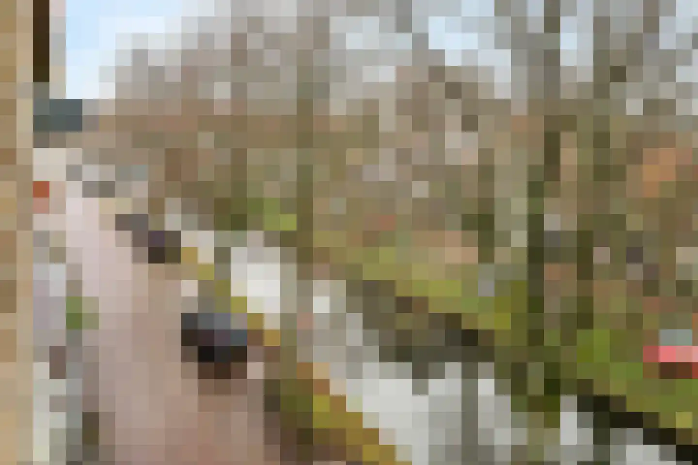 Voorhaven 41 d Edam thumbnail 42