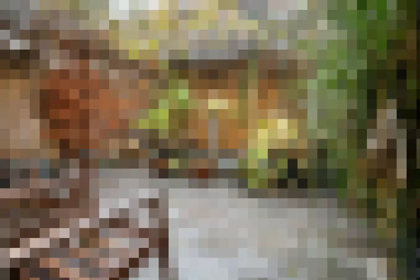 Voorhaven 41 d Edam thumbnail 50