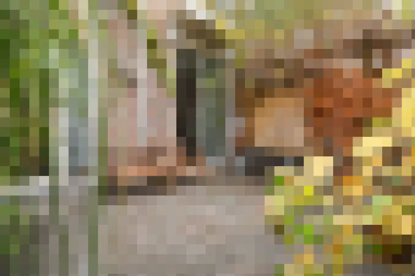 Voorhaven 41 d Edam thumbnail 53