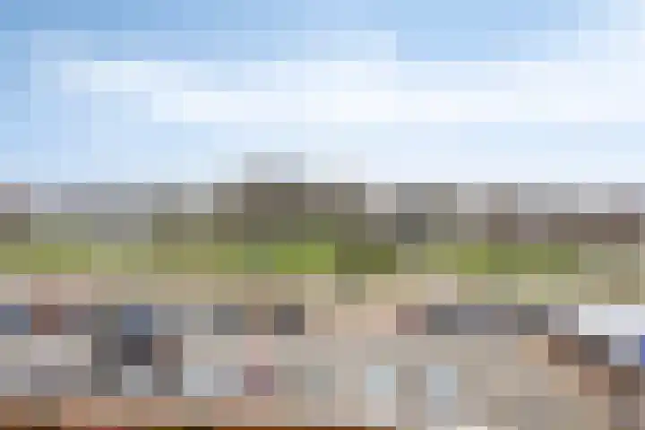 Voorhof 30 Nagele thumbnail 23