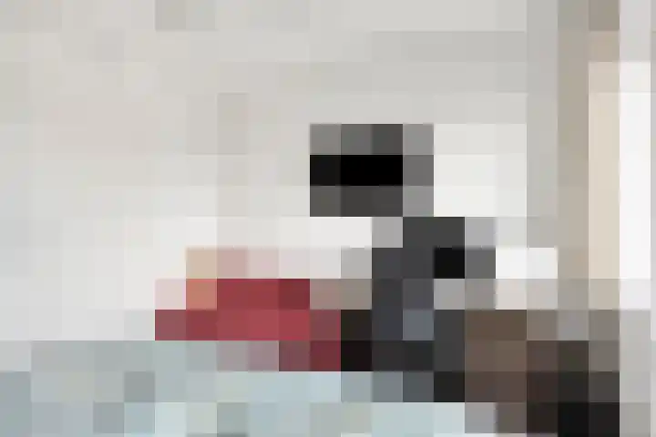 Voorhof 30 Nagele thumbnail 32