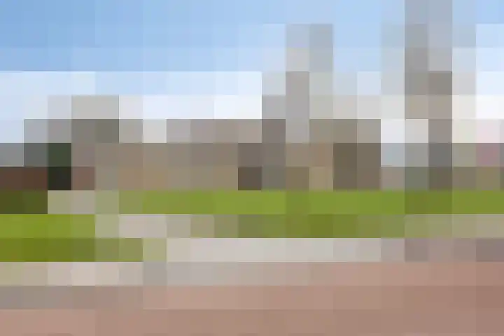 Voorhof 30 Nagele thumbnail 42