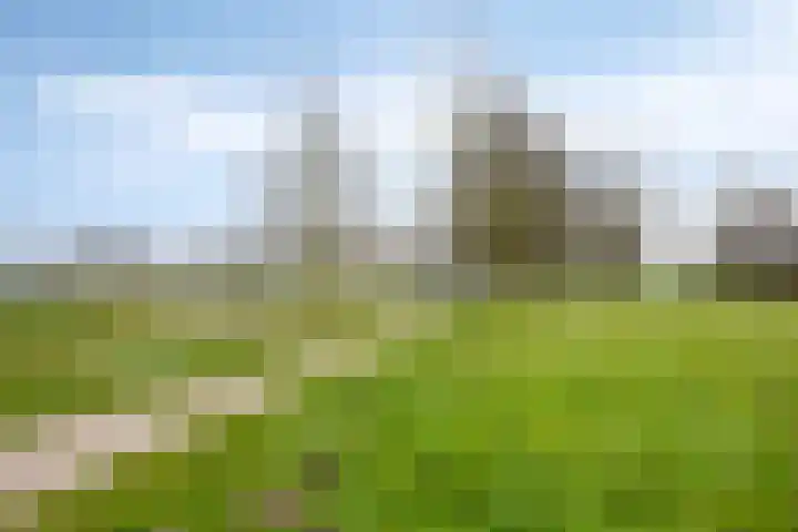 Voorhof 30 Nagele thumbnail 43
