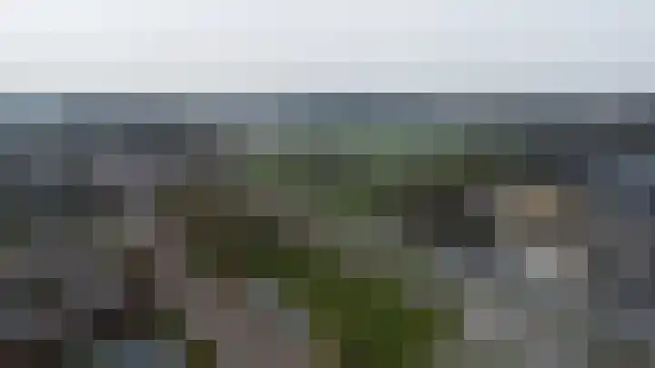 Voorhof 30 Nagele thumbnail 46