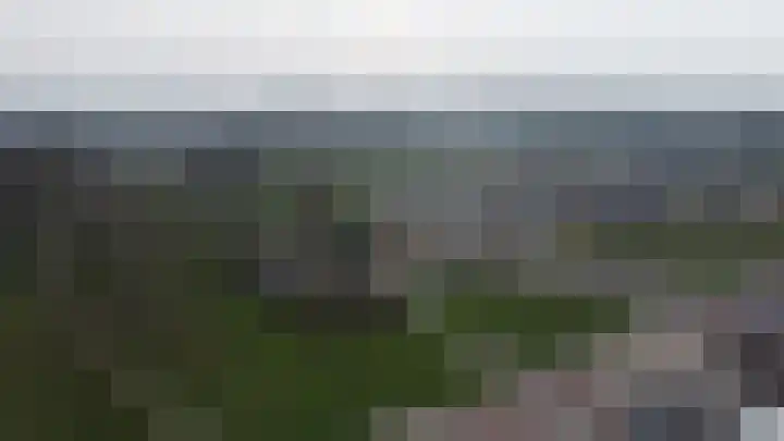 Voorhof 30 Nagele thumbnail 47