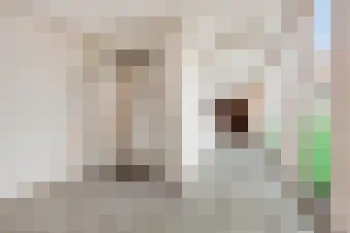 Voorhof 30 Nagele thumbnail 7