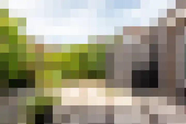 Voorhof 43 Lelystad thumbnail 36