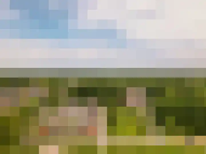 Voorhof 43 Lelystad thumbnail 43