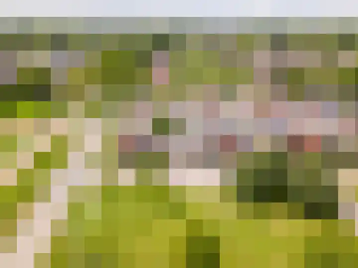 Voorhof 43 Lelystad thumbnail 8