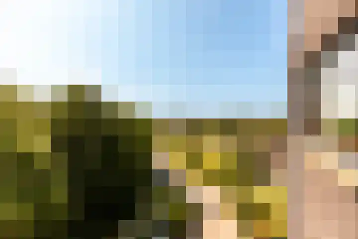 Voorhof 88 Lelystad thumbnail 20