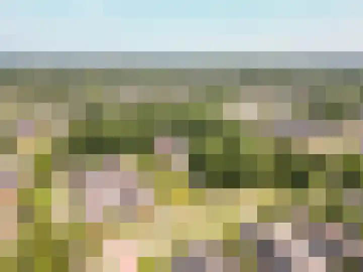 Voorhof 88 Lelystad thumbnail 38