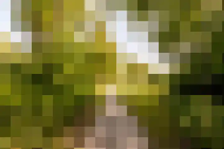 Voorhof 88 Lelystad thumbnail 42