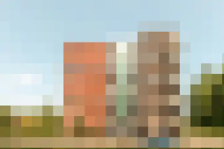Voorhof 88 Lelystad thumbnail 7