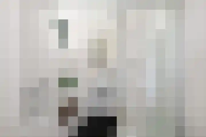 Voorhout 3 Rotterdam thumbnail 30