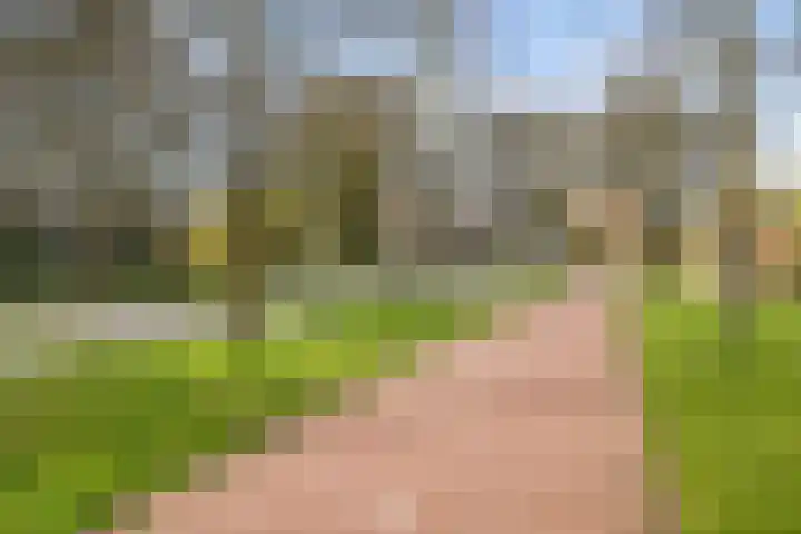 Voorhout 3 Rotterdam thumbnail 36