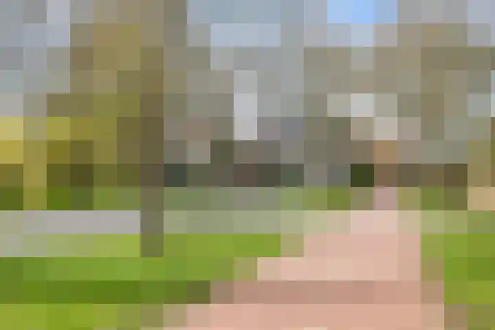 Voorhout 3 Rotterdam thumbnail 37