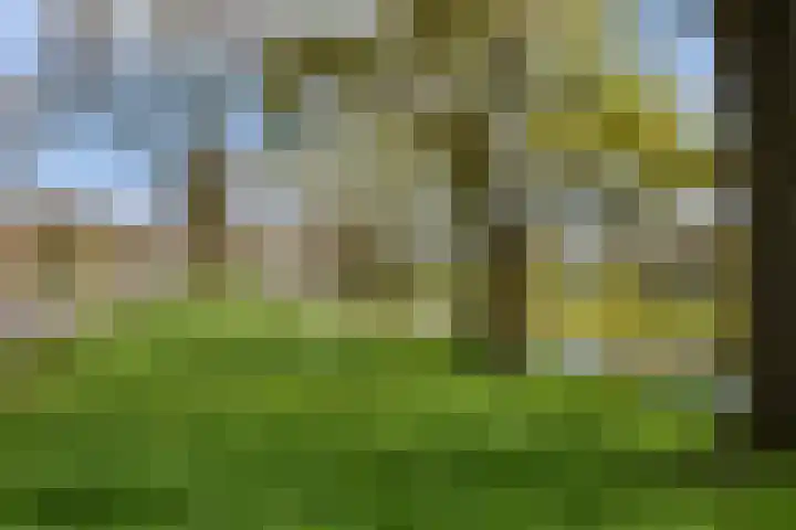 Voorhout 3 Rotterdam thumbnail 39