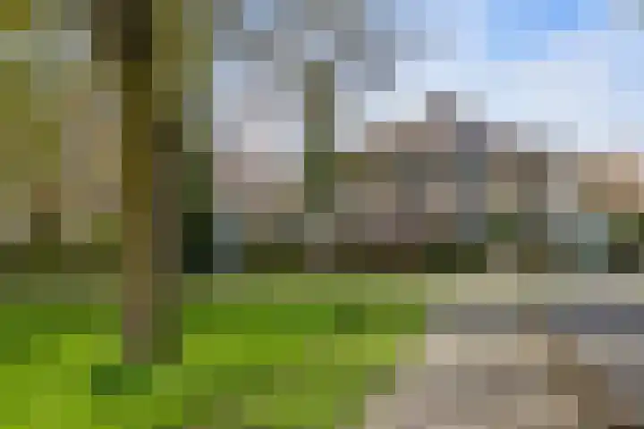 Voorhout 3 Rotterdam thumbnail 40