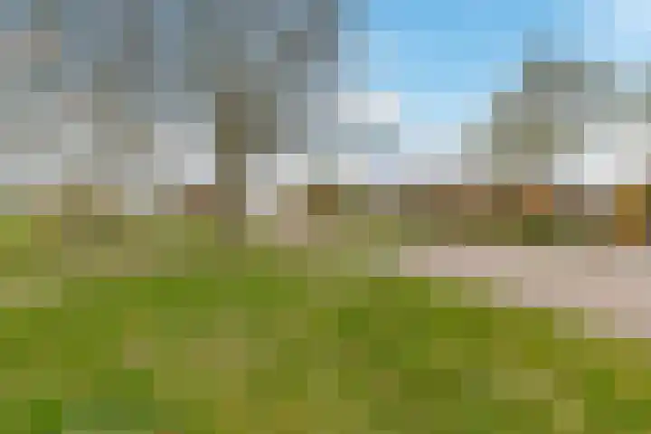 Voorjaarstraat 2 Almere thumbnail 40