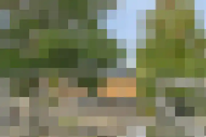 Voorjaarstraat 42 Almere thumbnail 16