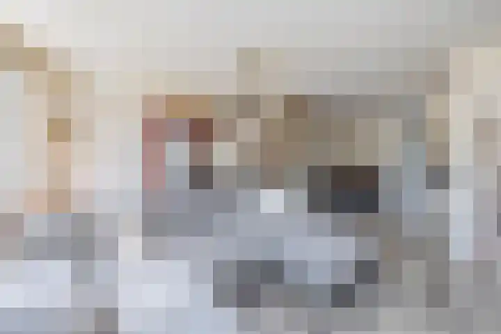 Voorkade 66 Boskoop thumbnail 10