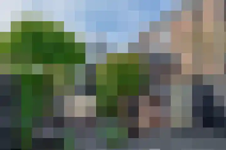Voorkade 66 Boskoop thumbnail 19