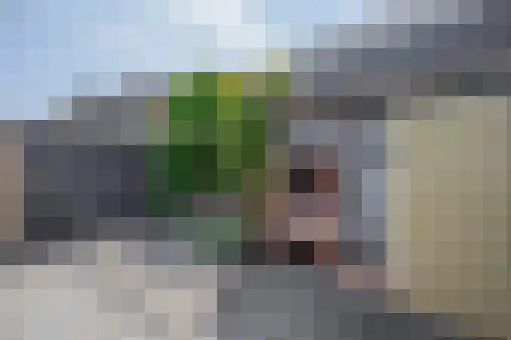 Voorkade 66 Boskoop thumbnail 20
