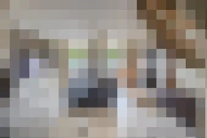 Voorkade 66 Boskoop thumbnail 7