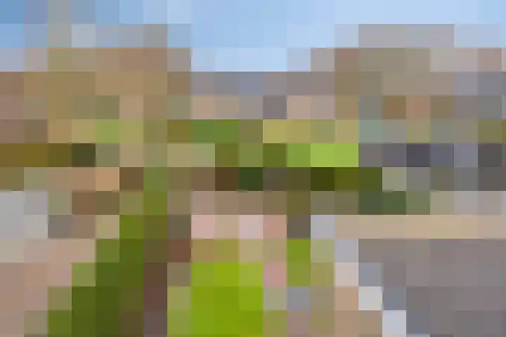 Voormors 112 Enter thumbnail 32