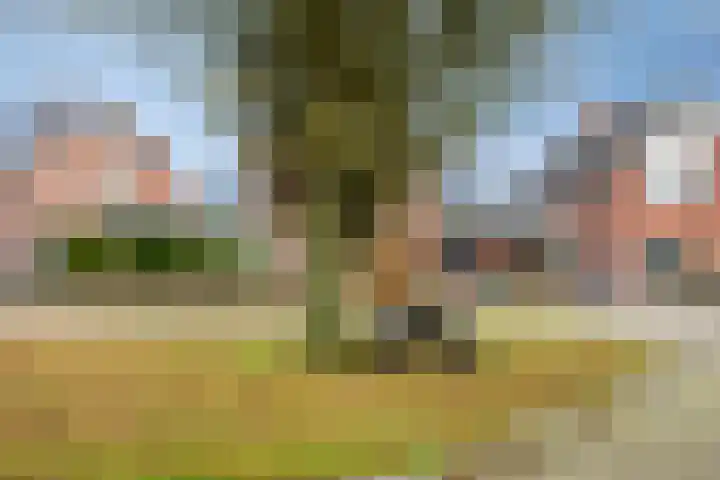 Voormors 112 Enter thumbnail 38