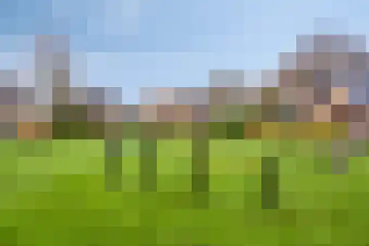 Voormors 112 Enter thumbnail 39