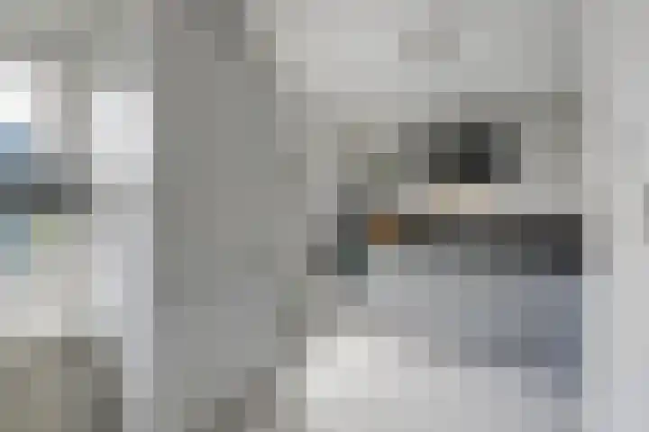 Voornestraat 21 Duiven thumbnail 21