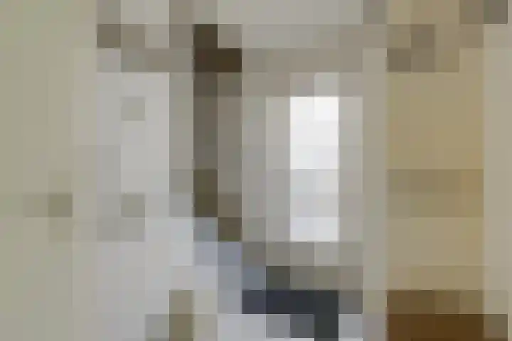 Voornestraat 21 Duiven thumbnail 27