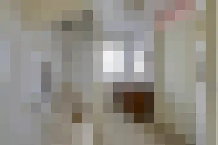 Voornestraat 21 Duiven thumbnail 28