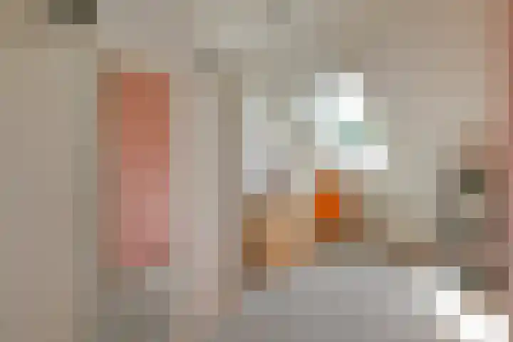 Voornestraat 21 Duiven thumbnail 33