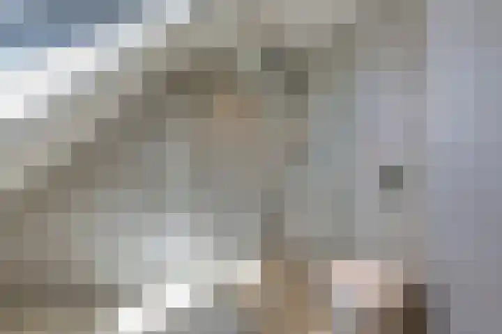Voornestraat 21 Duiven thumbnail 4