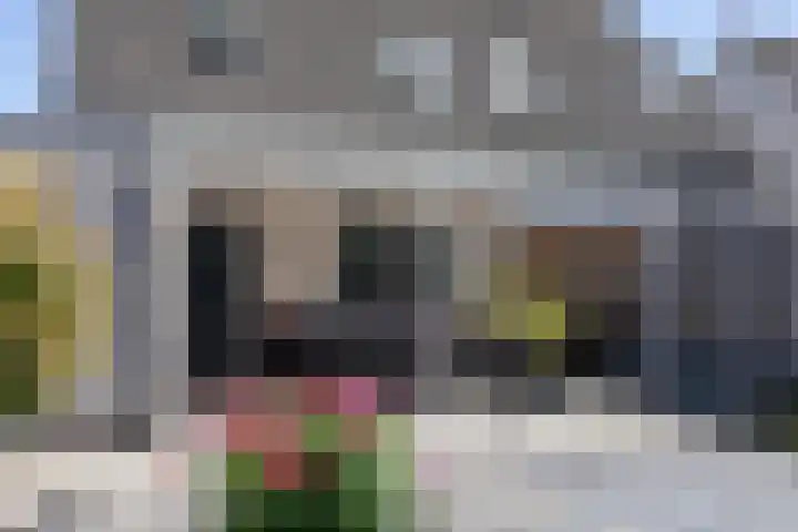 Voornestraat 21 Duiven thumbnail 48