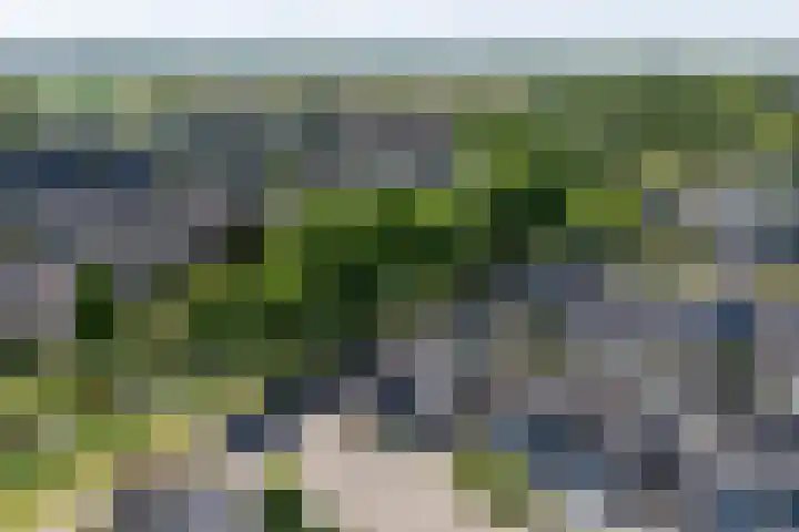 Voornestraat 21 Duiven thumbnail 5