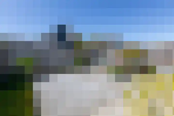 Voornestraat 21 Duiven thumbnail 55