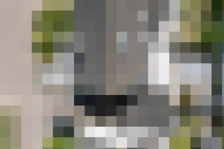 Voornestraat 21 Duiven thumbnail 58
