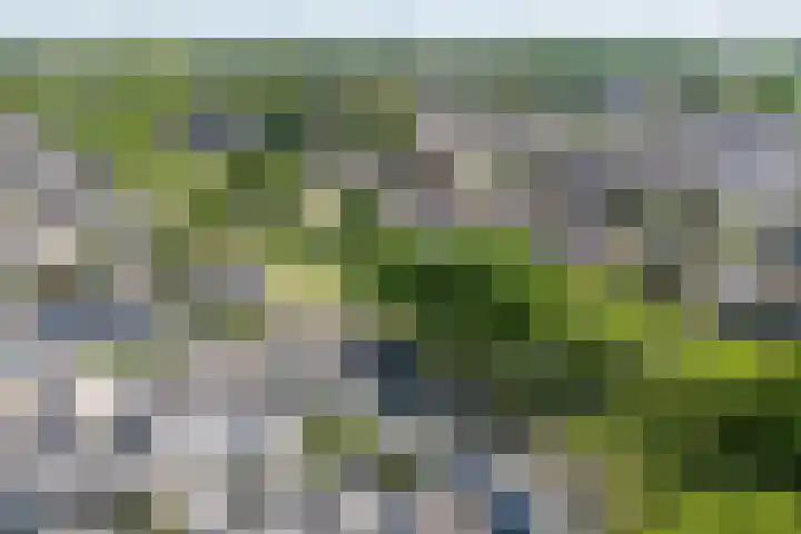 Voornestraat 21 Duiven thumbnail 68