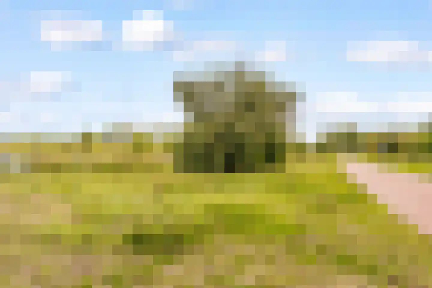 Vooronder 12 Almere thumbnail 46