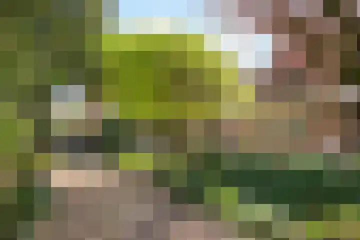 Vooronder 12 Almere thumbnail 49