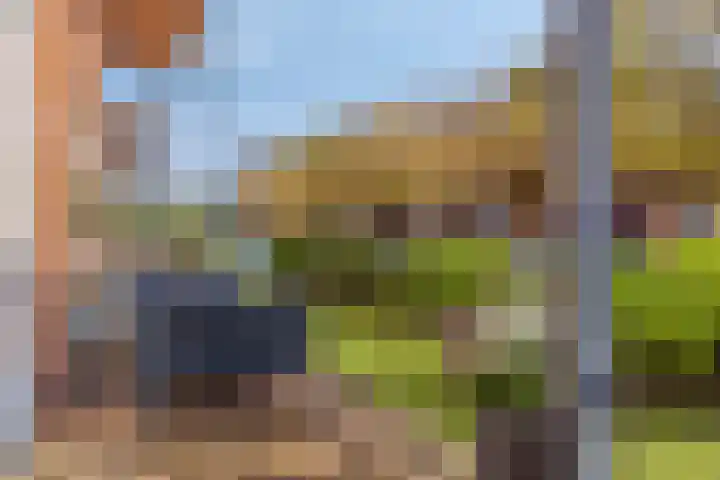 Vooronder 29 Almere thumbnail 10